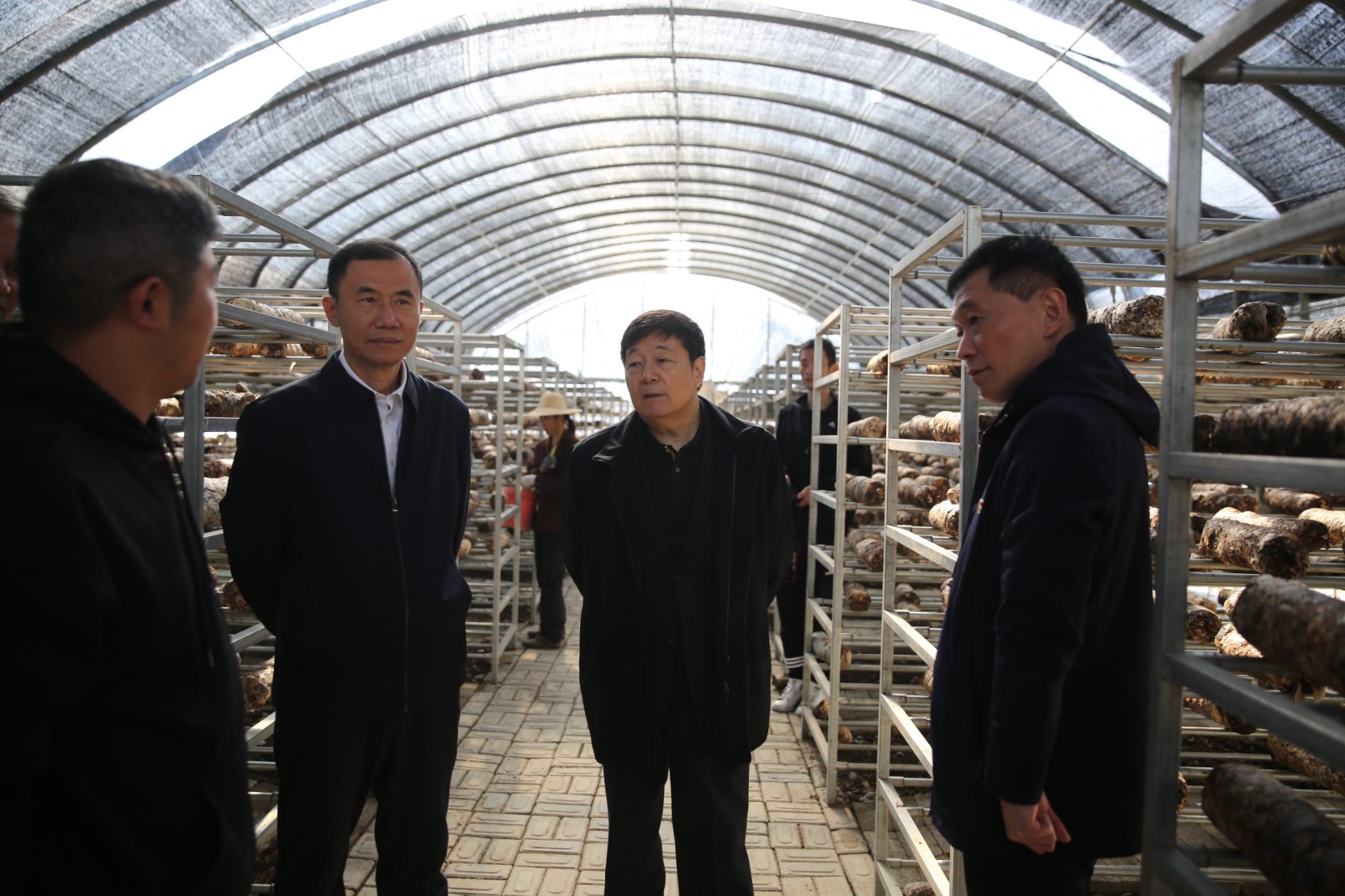 1605856422949021.jpg 1605856422949021.jpg