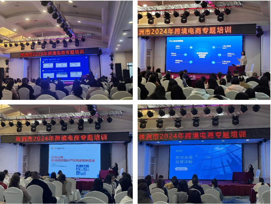 1711356631413638.png 1711356631413638.png